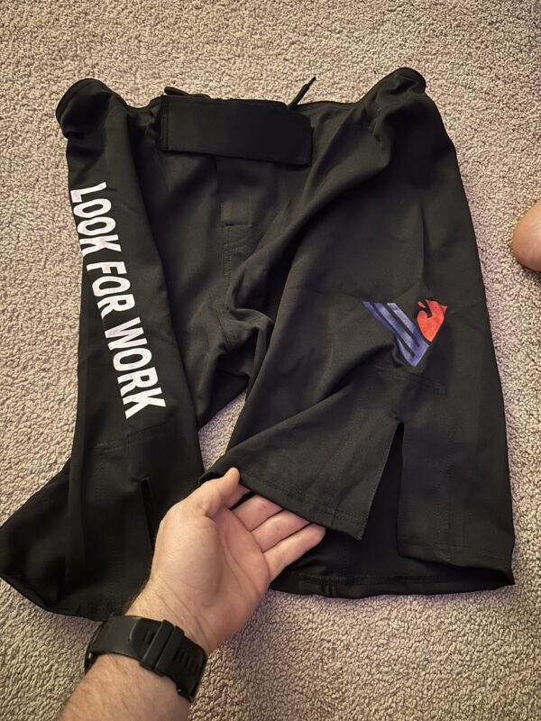 Fight Shorts - Image 4