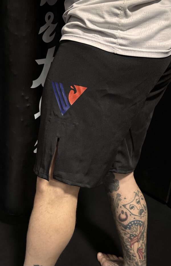 Fight Shorts - Image 2